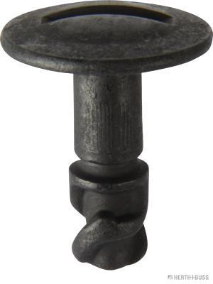 50267057