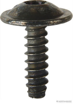50267065