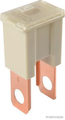 50295450