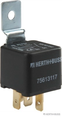75613117