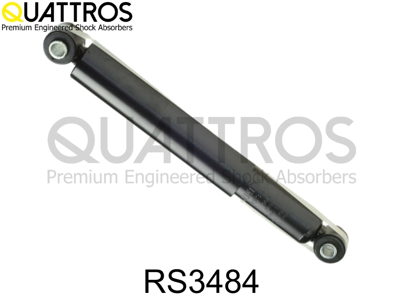 RS3484
