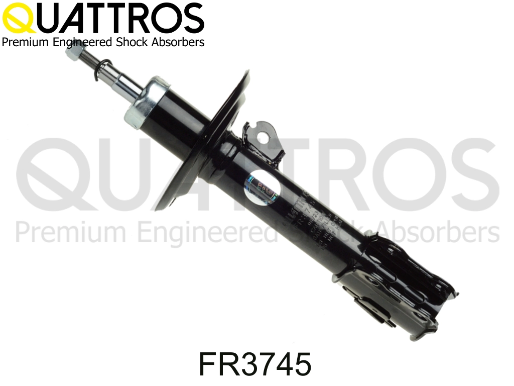 FR3745