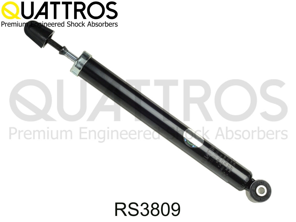 RS3809