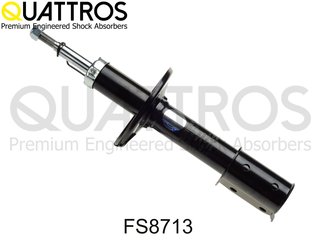 FS8713