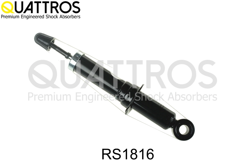 RS1816
