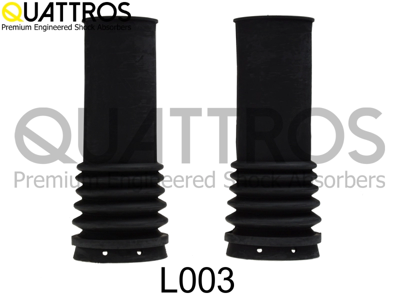 L003