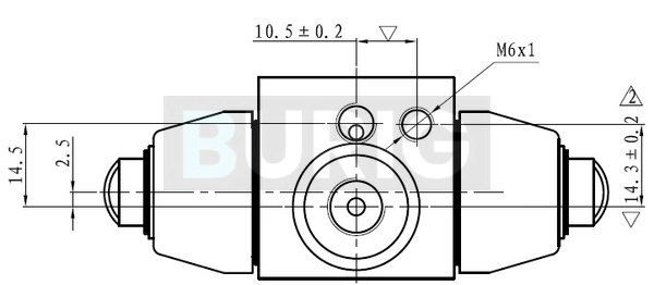 B090007