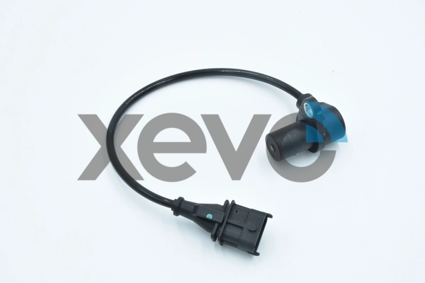 XCS6381