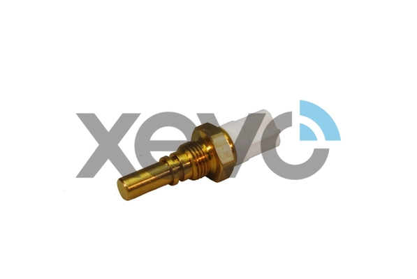 XTS7781