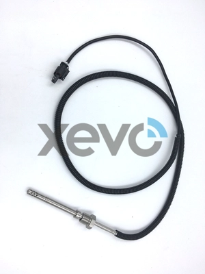 XLS2021