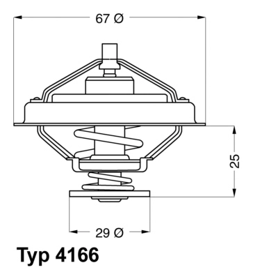 41667