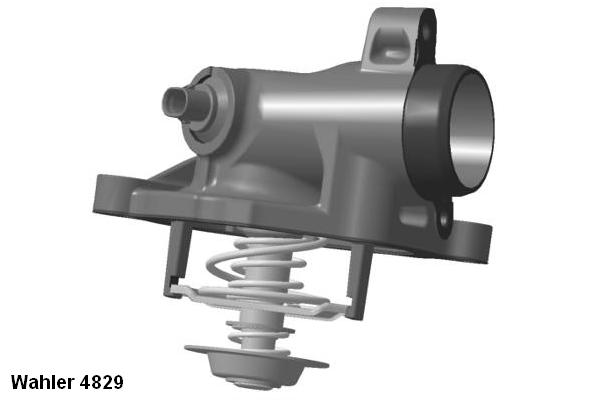 4829.100D