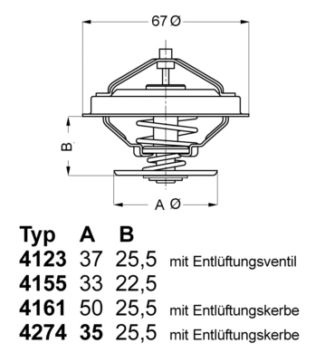 41558