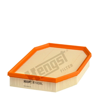 E1039L