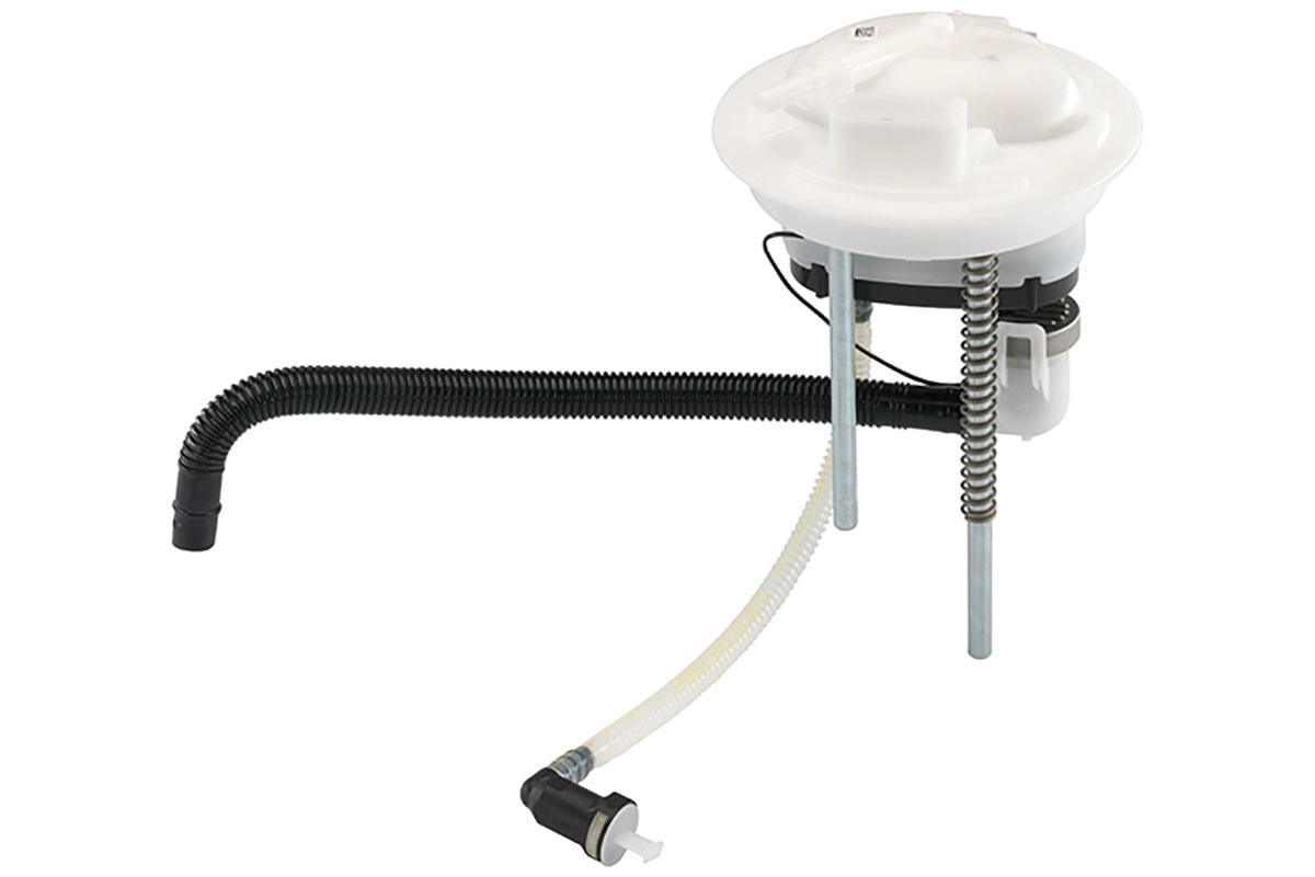 A2C53163854Z