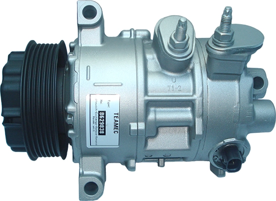 FRC29838