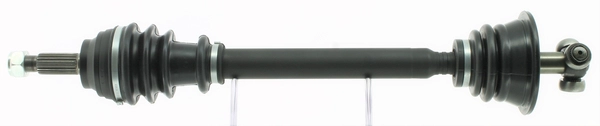 FDS2025