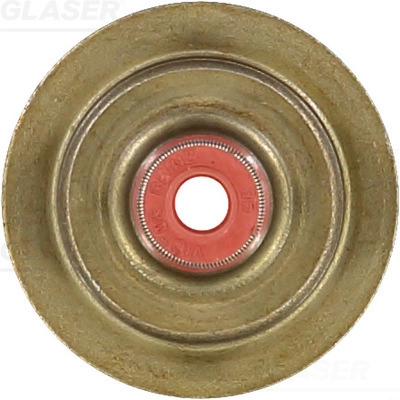 P76813-00