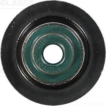 P76781-00