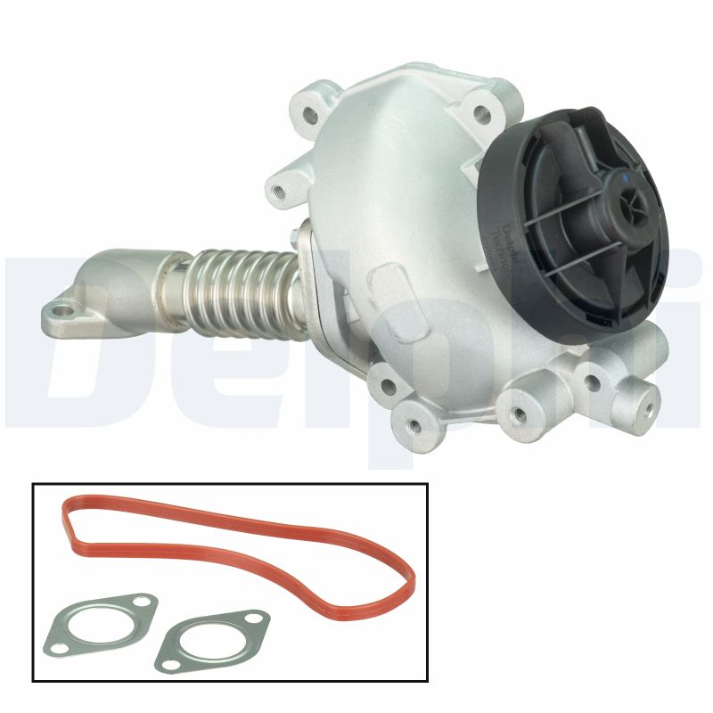 EG10554-12B1
