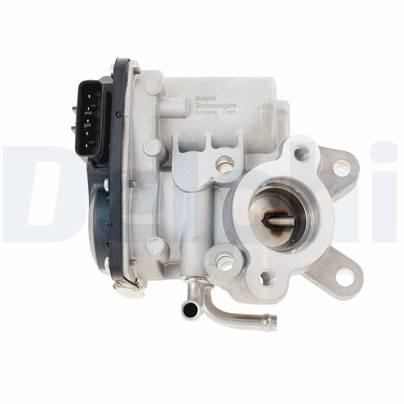 EG10636-12B1