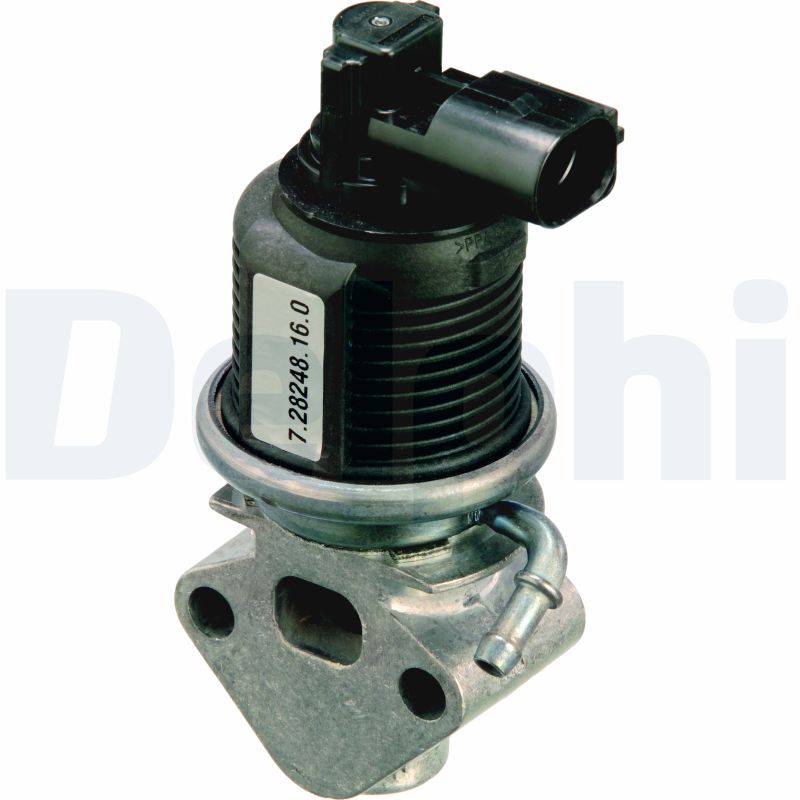 EG10309-15B1