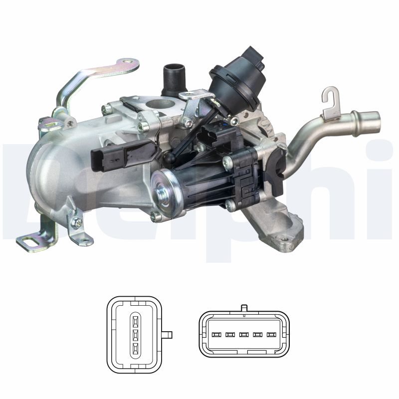 EG10452-12B1