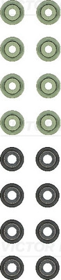 SH09-10-1F5 (8X)