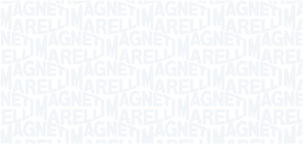 313011313176